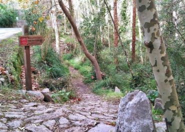 Sortida camí des Correu GR221, 1r d'EP
